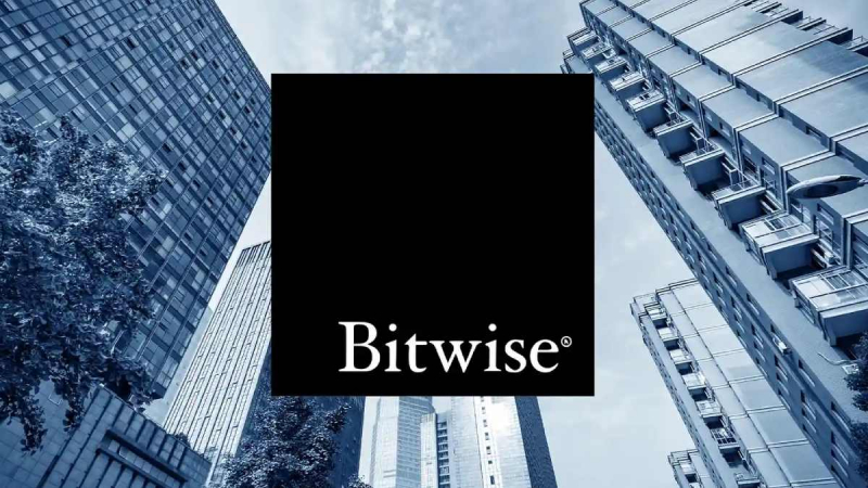 Компания Bitwise сократила 14% персонала на фоне спада крипторынка