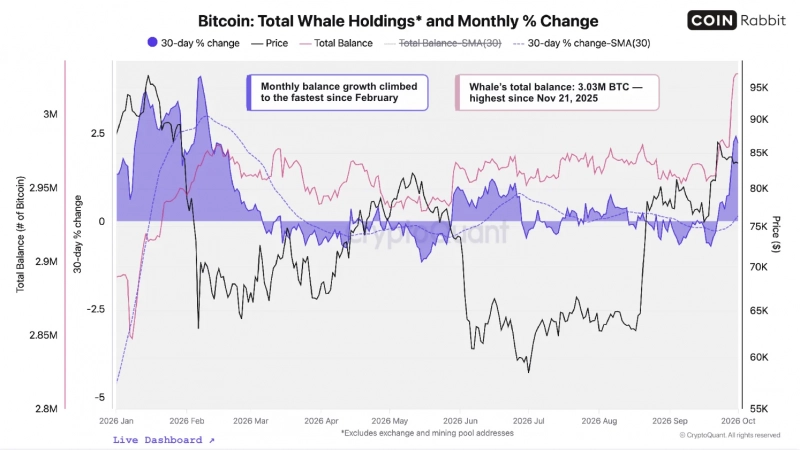 Киты снова покупают биткоины, но в CryptoQuant не подтверждают новое ралли